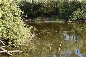 Celkový pohľad na TML Veľká nad Ipľom