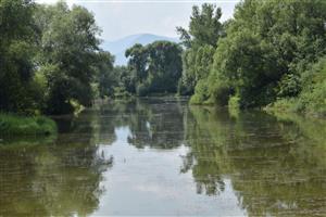 Celkový pohľad na TML Lisková