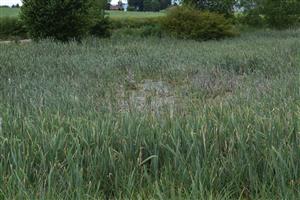 Celkový pohľad na TML Ivančiná