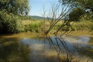 Stredná časť TML zo slovenskej strany Ipľa.