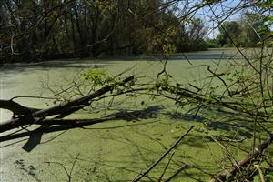 Cellkový pohľad na TML rameno Hornádu pri obci Čaňa