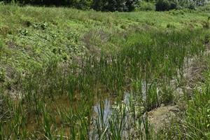 Celkový pohľad na TML, kanál pri Veľkých Raškovciach