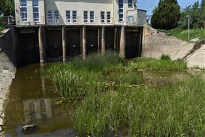 Pohľad na porasty priamo pod prečerpávacou stanicou; miesto s vyššou pokryvnosťou vodných rastlín