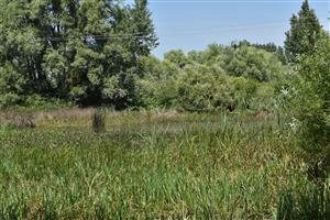 Celkový pohľad na TML Beša