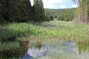 tml - voda o 0,5m vyššia ako bežne