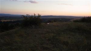 TML (Burdov)