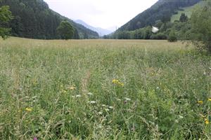 celkový pohľad na TML