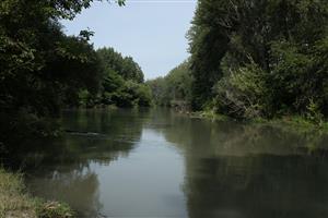 Fotografia zachytáva TML.