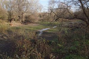 lokalita meander Jablone