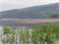Prirodzené eutrofné a mezotrofné stojaté vody s vegetáciou plávajúcich a/alebo ponorených cievnatých rastlín typu Magnopotamion alebo Hydrocharition (14.8.2014)