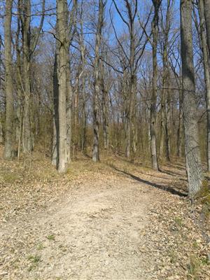 TML Hodrušská hornatina_TMP2