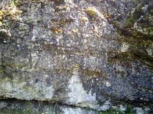 detail skalnej steny