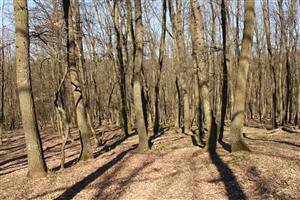 Interier monitorovacej plochy