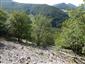 Nespevnené karbonátové skalné sutiny montánneho až kolinného stupňa (6.8.2020)