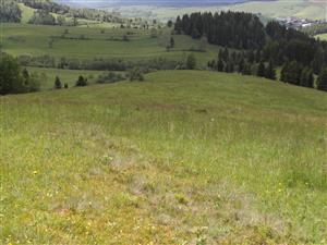 TML_6510_384, 2014_06_05, č. 01