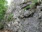 Karbonátové skalné steny a svahy so štrbinovou vegetáciou (1.10.2020)