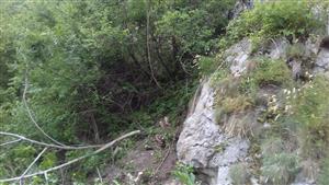 letná brigáda na odclonenie TMP