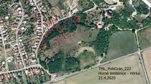 Mapka s výskytom kvitnúcich jedincov 