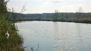 začiatok TMP