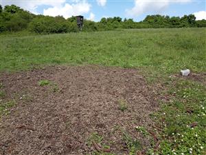 Vnadisko poľovnej zveri a posed na okraji lúky