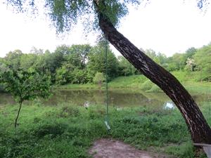 biotop na lokalite