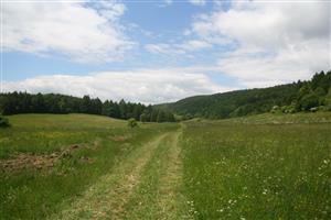 Celkový pohľad na biotop smerom na Z