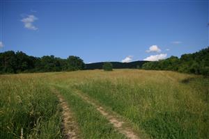 Celkový pohľad na biotop smerom na V