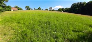 fotografia z rovakého miesta ako v predchádzajúcom monitoringu- vtedy nebola kosená ale tentokrát kosená je