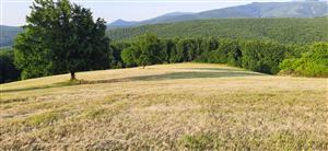 miesto fotografie z predchádzajúceho monitoringu, J časť - Valachová,pohľad na východ