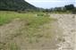 Rieky s bahnitými až piesočnatými brehmi s vegetáciou zväzov Chenopodionrubri p.p. a Bidentition p.p. (30.8.2014)