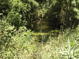 Habitat lokality