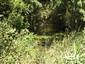 Habitat lokality