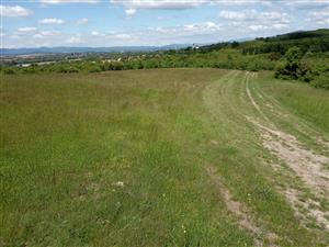 Celkový pohľad na kosenú časť lúky v severnej časti