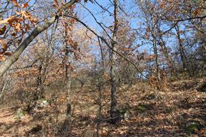 Habitat línie odchytových zariadení