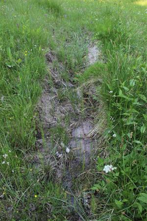 stopy po vjazde technikou do slatiny