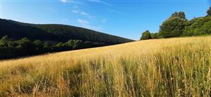 západná časť lokality, pohľad na sever a hlavne východ