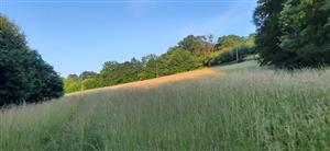 pekná kosená lúka naproti zastávke Horná dolina