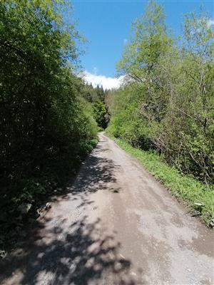 Pohľad na TML