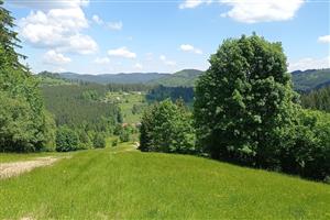 Hrebeňová časť lokality