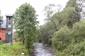 Horské vodné toky a ich drevinová vegetácia so Salix eleagnos (27.8.2014)