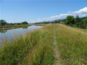 pravá hrádza kanála