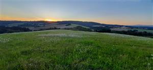 pohľad na S časť lokality, otava