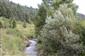 Horské vodné toky a ich drevinová vegetácia so Salix eleagnos (28.8.2014)