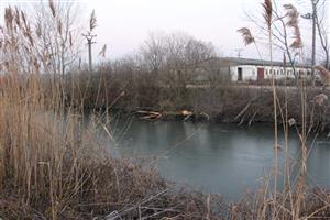Pohľad na priesakový kanál, TML Číčovské rybníky s pobyt. znakmi po C.fiber, foto: 10.1.2020, J.Lengyel. 