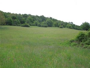 pohľad na južnú časť TML