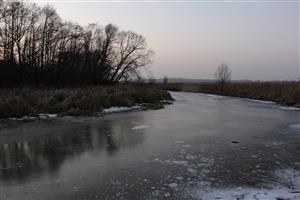 Pohľad na JV meander Žitavy, JV časť TML Žitavský luh - zimovisko Lutra lutra. Foto: 27.1.2020, J.Lengyel.