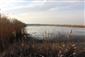 Pohľad na  južnú časť TML Číčovské rybníky, foto: 17.2.2020, J.Lengyel.