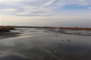 Pohľad na TML Číčovské rybníky, pravidelný výskyt Lutra lutra. Foto: 17.2.2020. J.Lengyel.