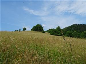 Východná časť lokality