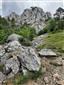 jašterica múrová (20.6.2021)